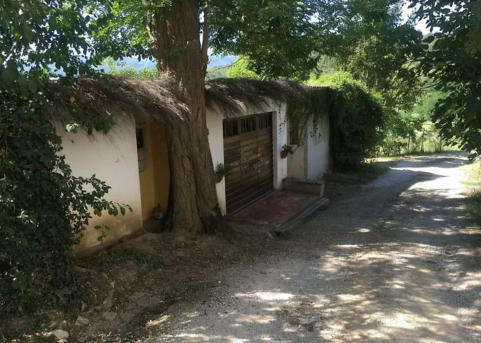 Baronzola 蒙特瓦尔基