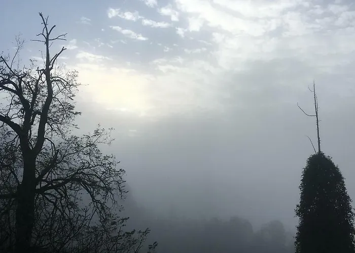 Baronzola * 蒙特瓦尔基