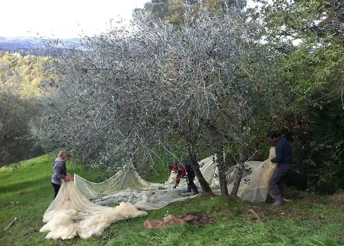 乡村民宿 Baronzola 蒙特瓦尔基