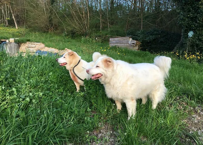 Baronzola 乡村民宿