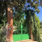 Baronzola *
