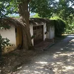 Baronzola Montevarchi