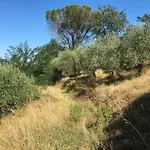 Baronzola Montevarchi
