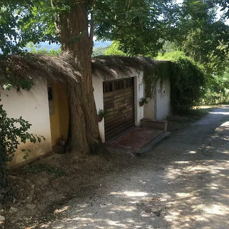 Baronzola Montevarchi