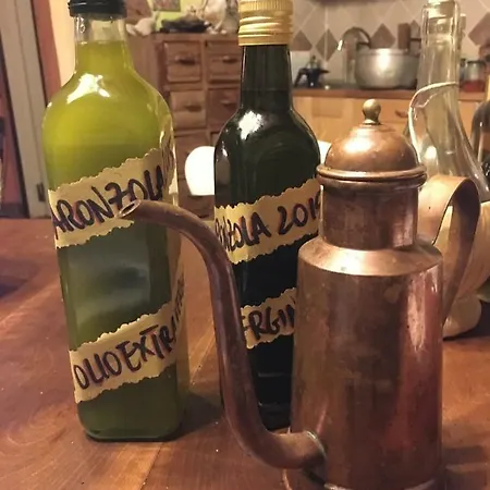 Baronzola Casa rural *
