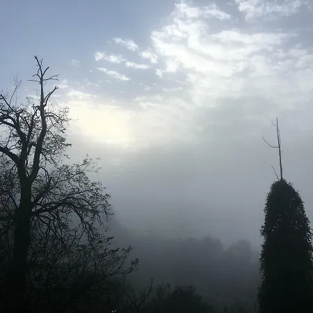 Baronzola * Montevarchi