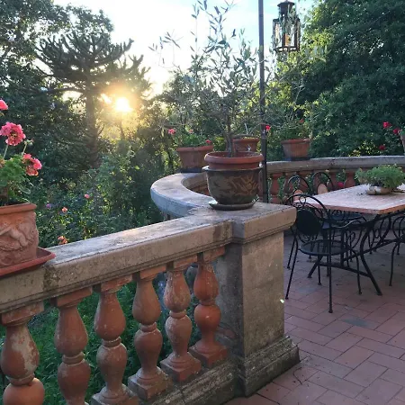 Baronzola * Montevarchi