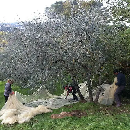 Casa rural Baronzola Montevarchi