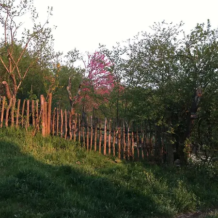 Baronzola Casa rural