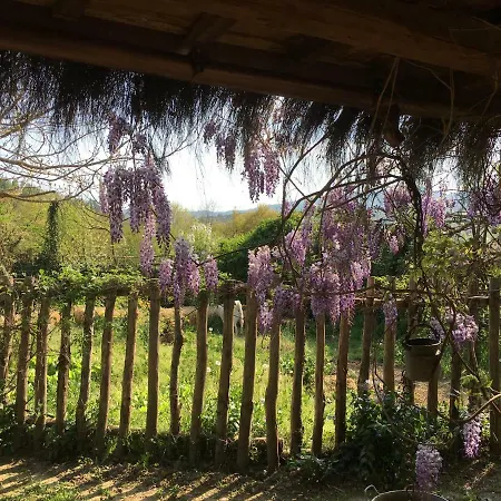 Baronzola Casa rural *