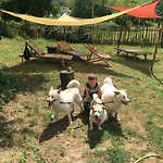 Kır Evi Baronzola Montevarchi